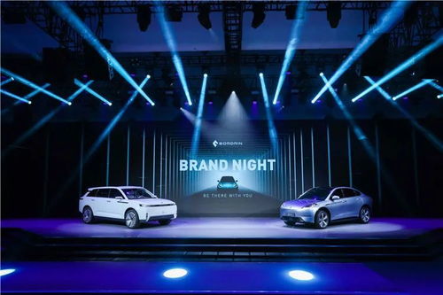 众泰复兴之路 新势力能否以信息科技赋能技术开发？