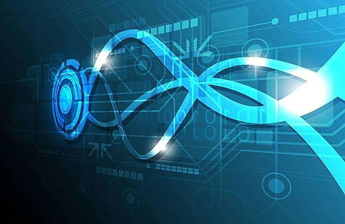 浅谈WLAN无缝漫游的发展前景